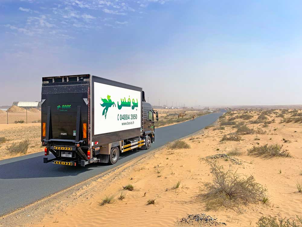 Le camion oeuvres d'art de Bovis Fine Art Middle East dans le désert des Emirats Arabes Unis